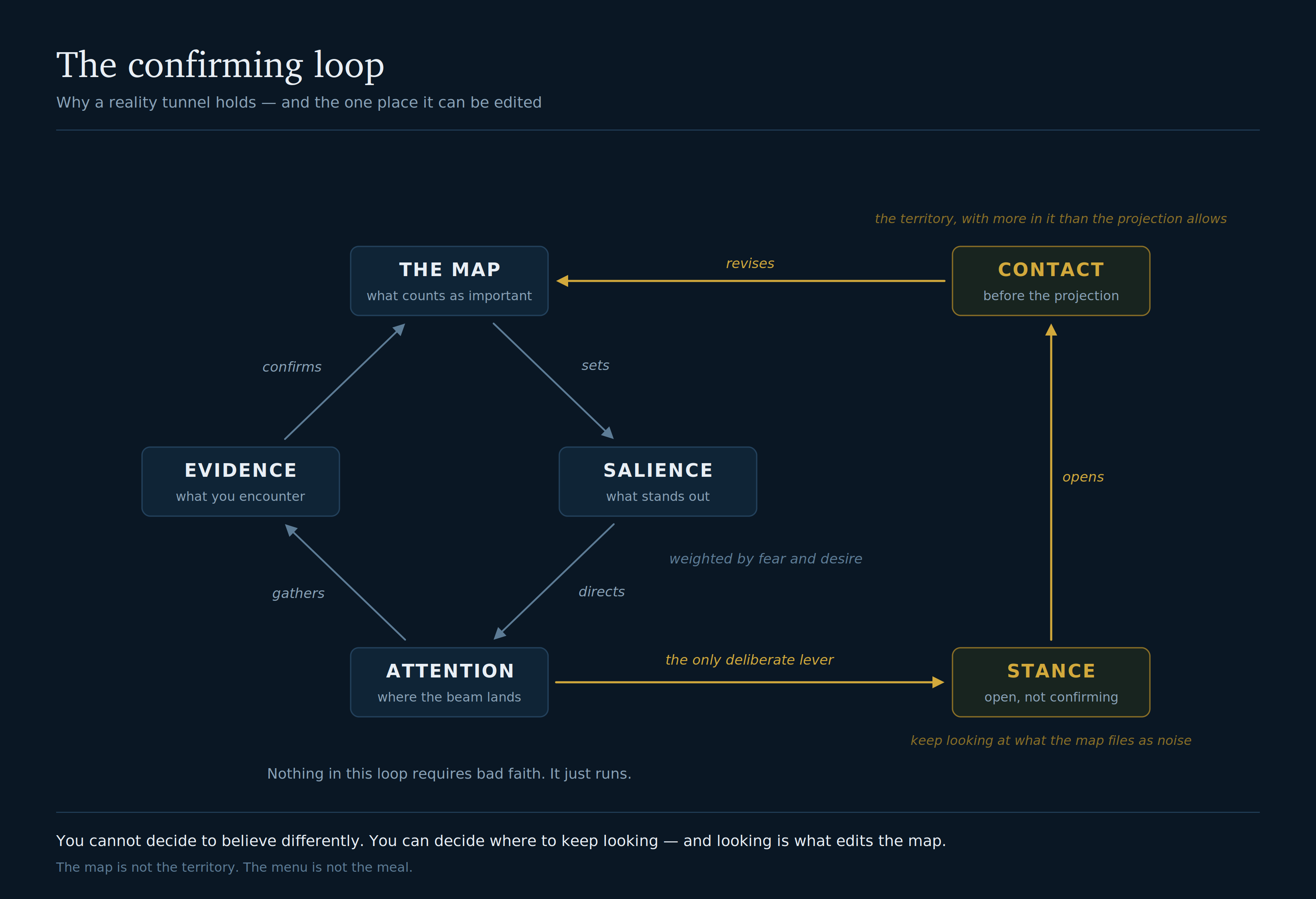 A diagram of the confirming loop: the map sets salience, salience directs attention, attention gathers evidence, and evidence confirms the map. A second path runs from attention through stance to contact, which revises the map from outside the circuit.